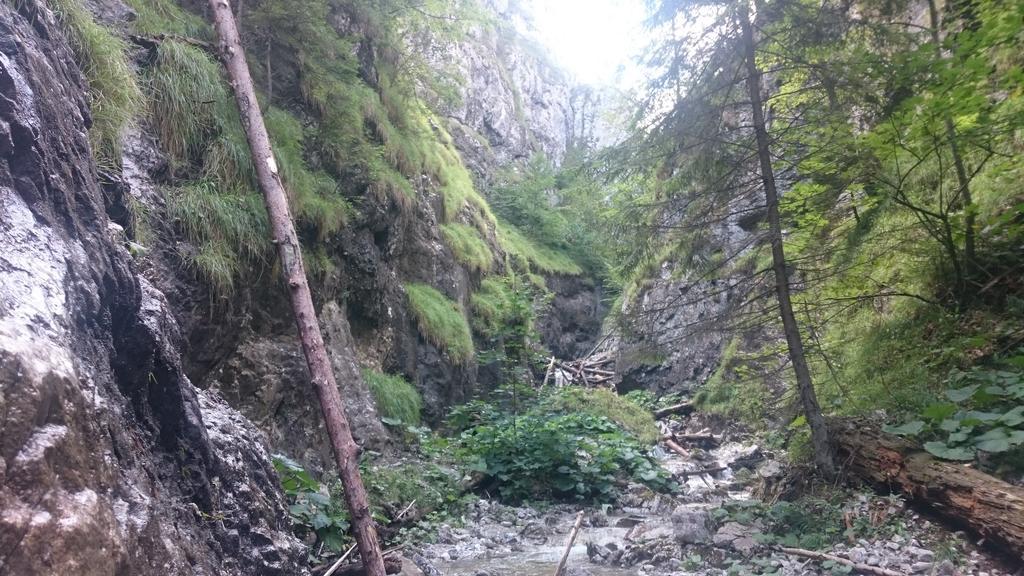 Studio Apartman Pohoda Cingov Slovensky Raj Spišské Tomášovce Exteriör bild